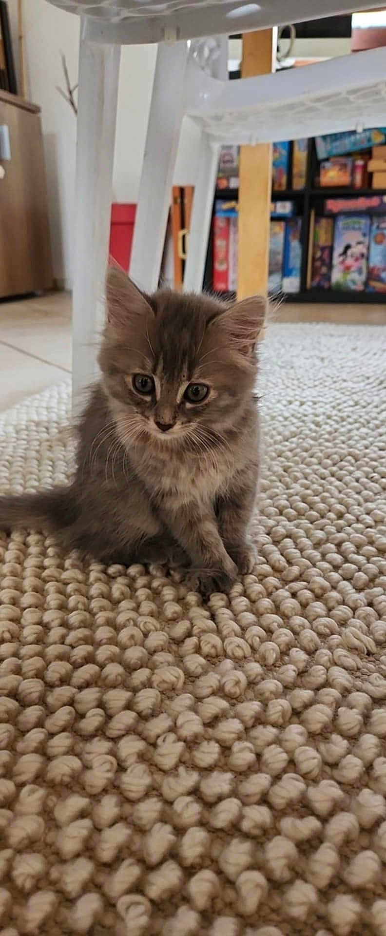 Mia