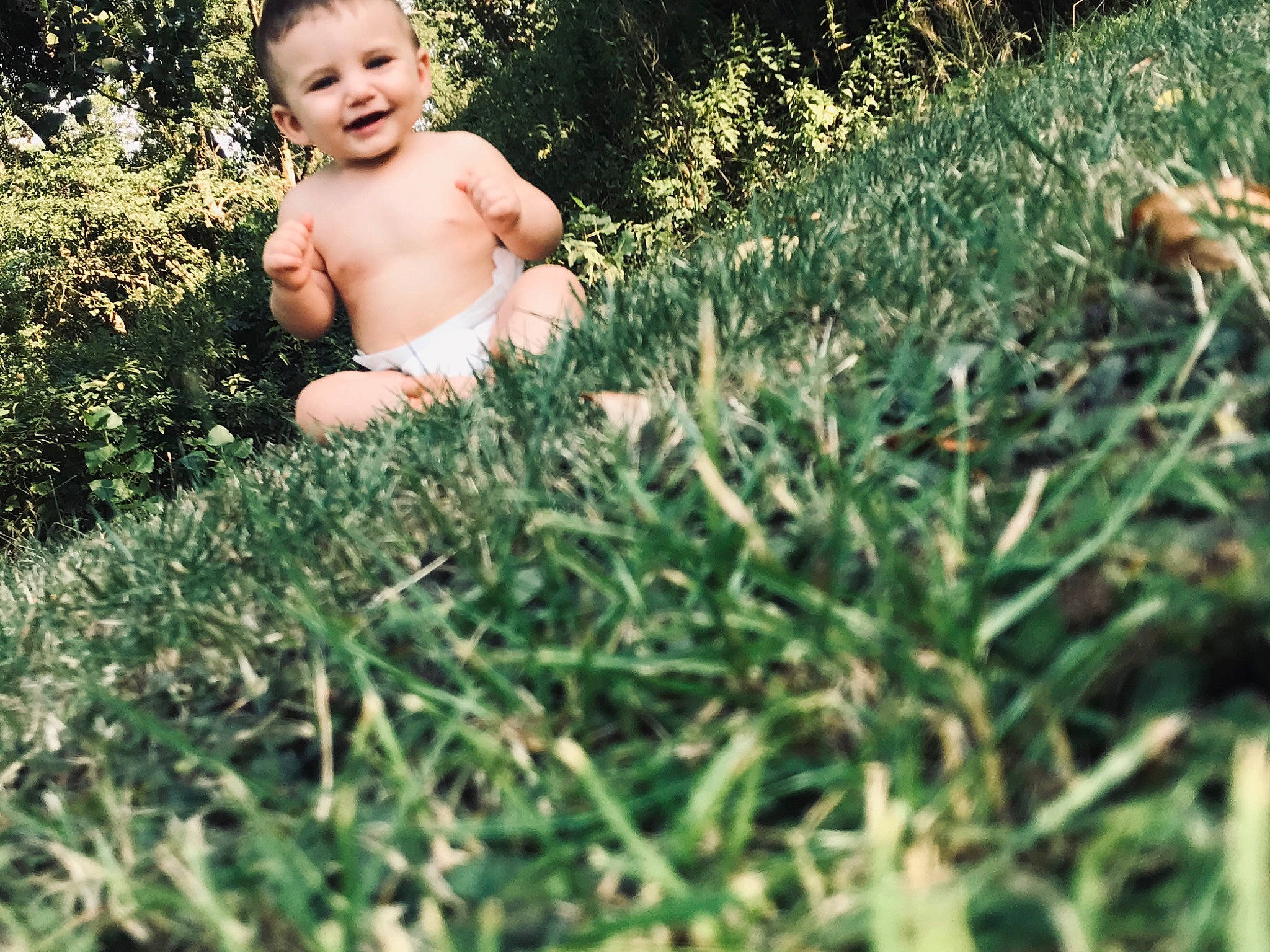 Tiago participe au concours pour gagner de l'argent avec cette photo : baby, barechested, child, fun, grass, grass_family, green, joy, leisure, meadow, muscle, people_in_nature, person, photography, plant, smile, summer, toddler, tree, trunk