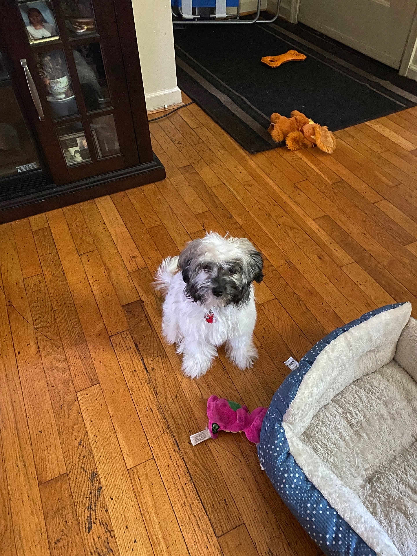 Millie