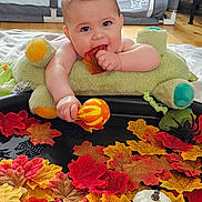 Marley joined the competition — help win amazing prizes! autumn, baby, bat, chewing, child, colorful, cute, decorations, fall_leaves, festive, floor, gourd, holiday, indoor, playpen, plush_toy, pumpkin, smiling, spider, toy