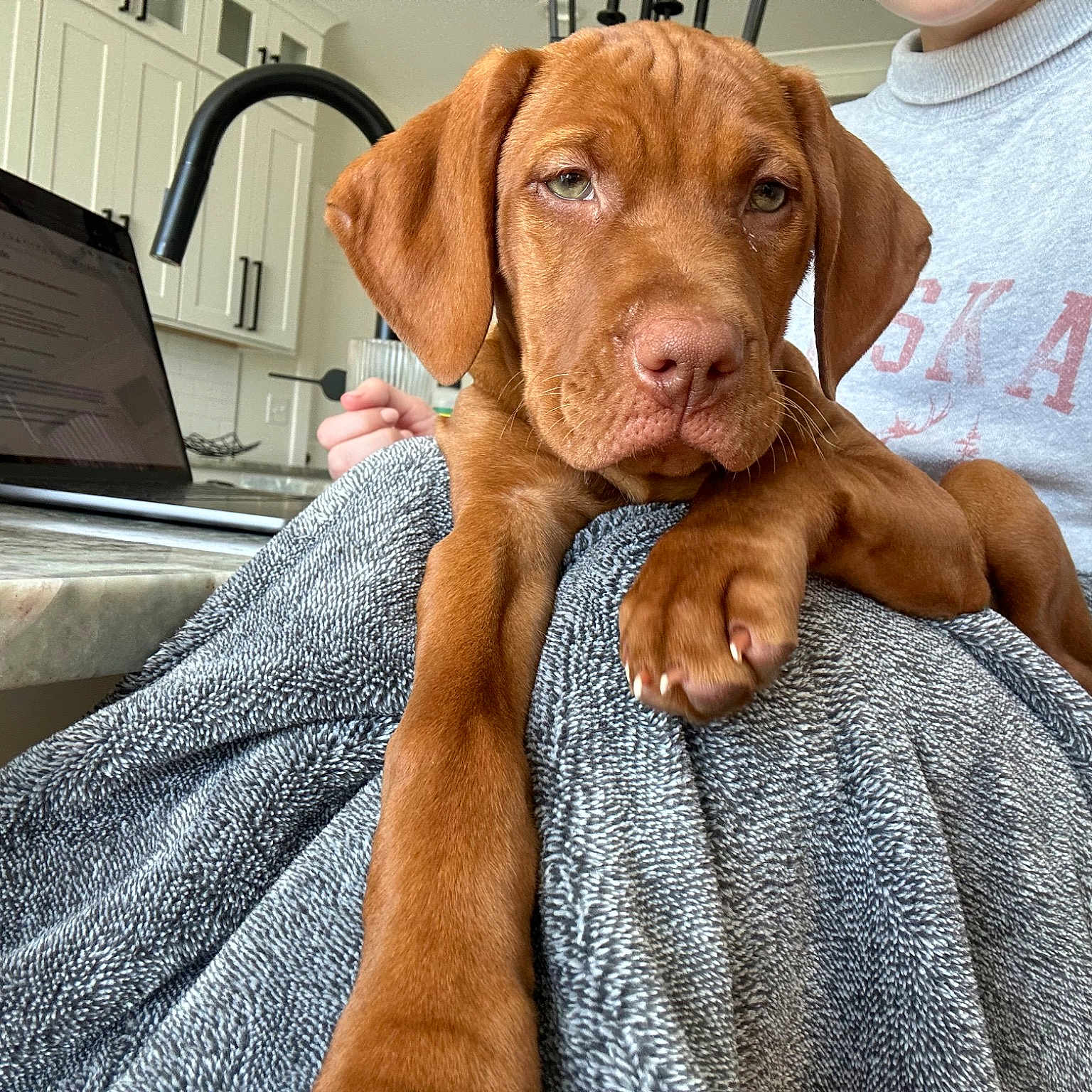 Lenny