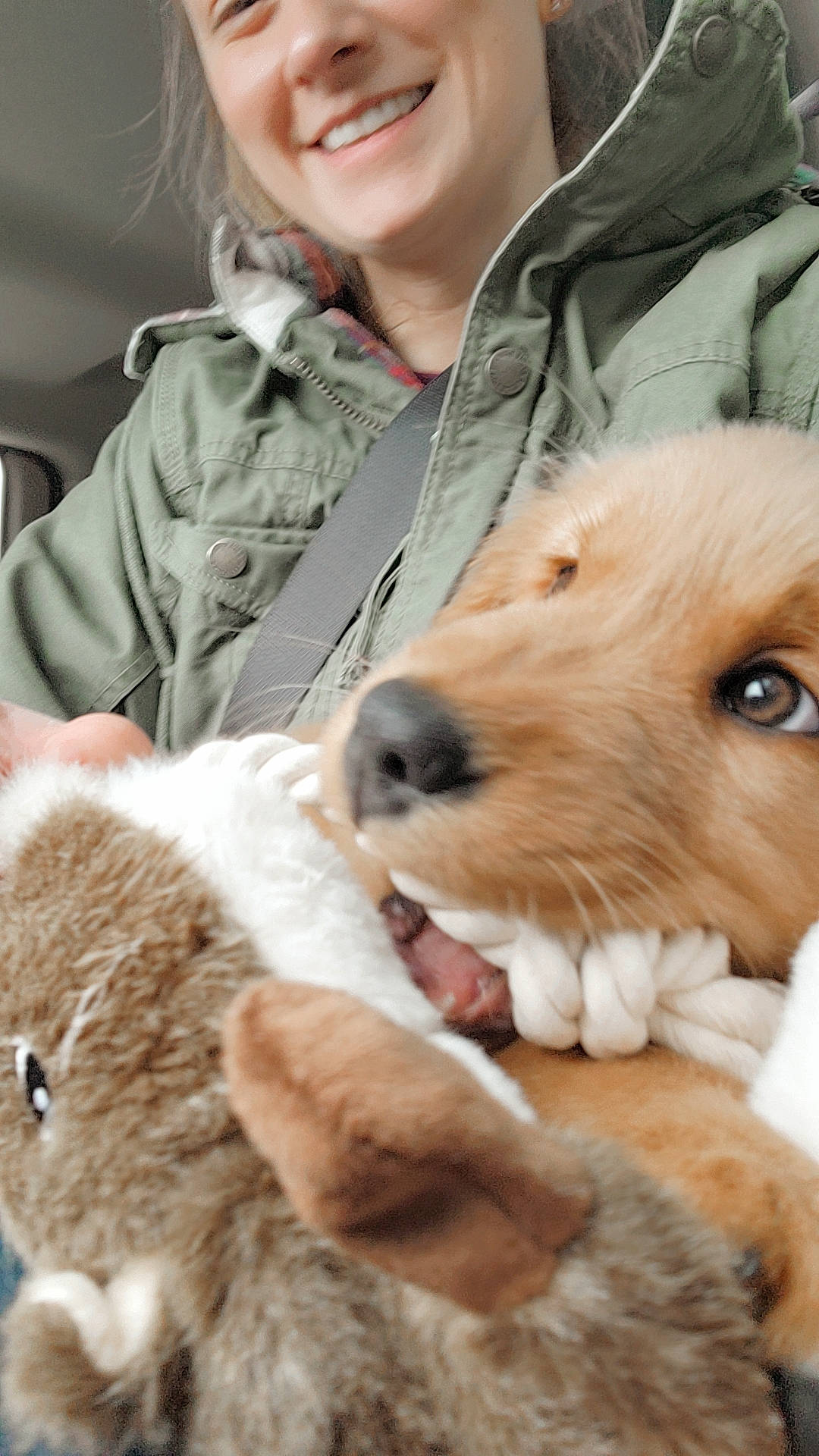 Harper is registered to the contest to win money with this photo: canidae, carnivore, child, companion_dog, dog, dog_breed, ear, fawn, fur, fur_clothing, paw, puppy_love, smile, snout, sporting_group, terrier, toy_dog, uniform, whiskers, working_animal