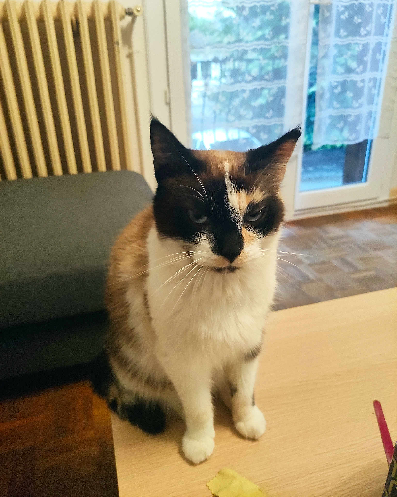 Chouquette