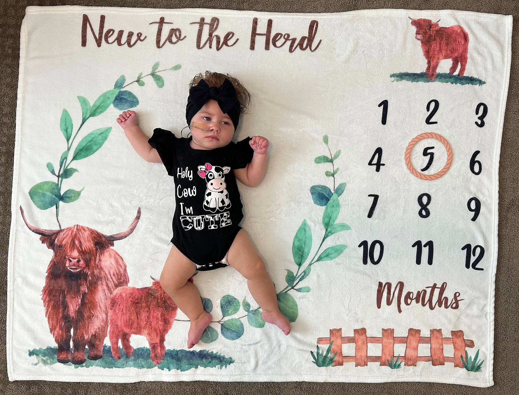 Braylynn joined the competition — help win amazing prizes! event, eyelash, font, fur, graphics, green, hairstyle, happy, headwear, illustration, magenta, mammal, pattern, person, pink, product, rectangle, sleeve, t_shirt, thigh