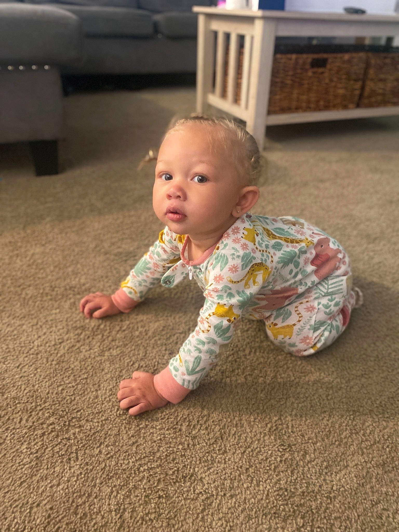 Jaylani is registered to the contest to win money with this photo: baby, baby_toddler_clothing, carpet, cheek, chest_of_drawers, child, crawling, drawer, eye, floor, flooring, foot, fun, grass, hardwood, nose, person, skin, sleeve, toddler