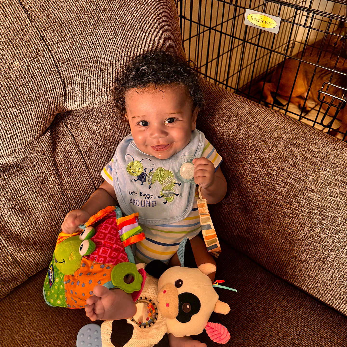 Giovanni joined the competition — help win amazing prizes! baby, child, smiling, curly_hair, bib, toy, stuffed_animal, couch, brown_fabric, dog_crate, dog, indoor, happy, playful, infant, home, pet, retriever, colorful, comfortable