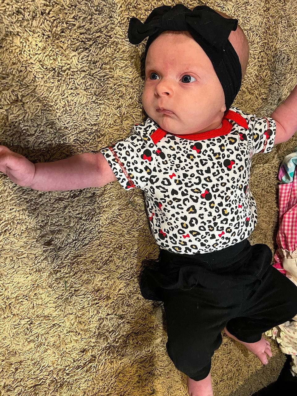 Cecilia joined the competition — help win amazing prizes! arm, baby, baby_products, baby_toddler_clothing, cap, child, costume_hat, fashion_accessory, grass, happy, human_leg, pattern, people_in_nature, person, sitting, sleeve, sun_hat, t_shirt, tints_and_shades, toddler