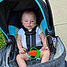 baby, infant, stroller, carseat, harness, toy, carrot_toy, nasal_tube, medical_device, outdoor, grass, sidewalk, clothing, white_shirt, person, child, cute, seated, baby_girl, baby_boy