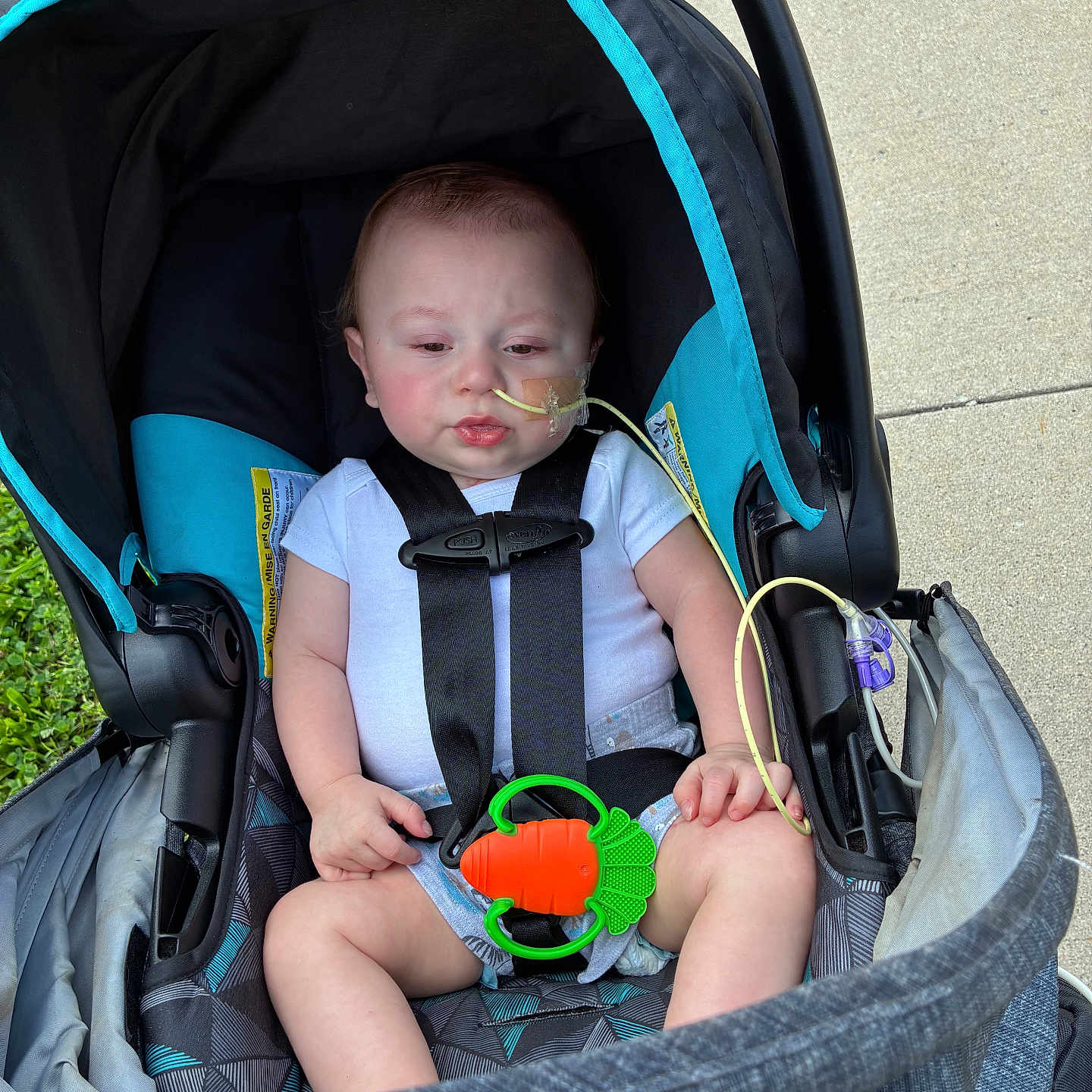 Kai joined the competition — help win amazing prizes! baby, infant, stroller, carseat, harness, toy, carrot_toy, nasal_tube, medical_device, outdoor, grass, sidewalk, clothing, white_shirt, person, child, cute, seated, baby_girl, baby_boy
