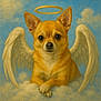 adorable, angel, animal, chihuahua, clouds, cute, dog, ears, fantasy, fluffy, fur, halo, illustration, mythical, peaceful, pet, portrait, serene, sky, wings
