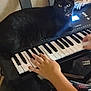 Binx joined the competition — help win amazing prizes! cat, black_cat, keyboard, piano_keys, musical_instrument, hand, person, indoor, pet, animal, playing, music, electronics, feline, closeup, domestic_cat, carpet, furniture, technology, relaxing