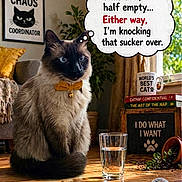 Sammy is registered to the contest to win money with this photo: animal, books, bow_tie, cat, cozy, curtains, decor, funny, glass_of_water, indoor, living_room, mug, pet, plant, siamese_cat, sign, speech_bubble, toy_mouse, window, wooden_floor
