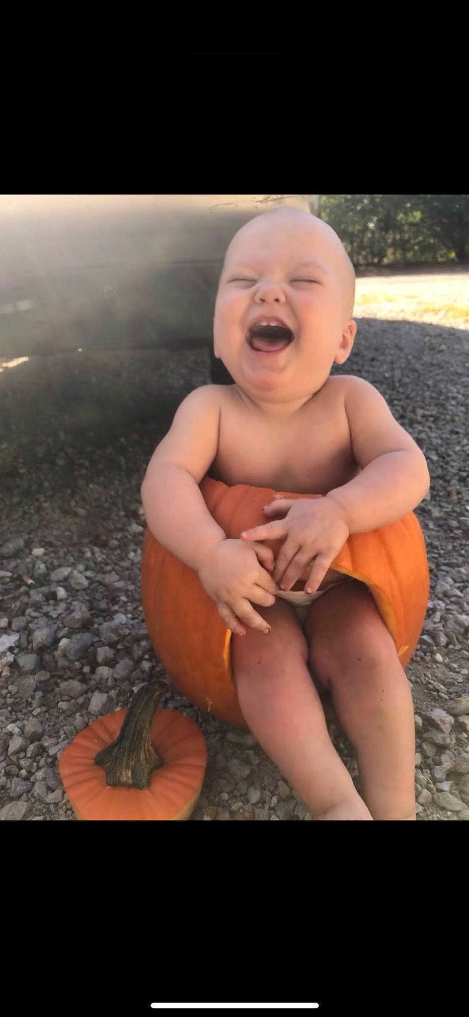 Lucas is registered to the contest to win money with this photo: baby, baby_toddler_clothing, calabaza, chest, elbow, eye, facial_expression, flash_photography, foot, happy, human_body, human_leg, knee, leg, mouth, person, sitting, smile, thigh, thumb