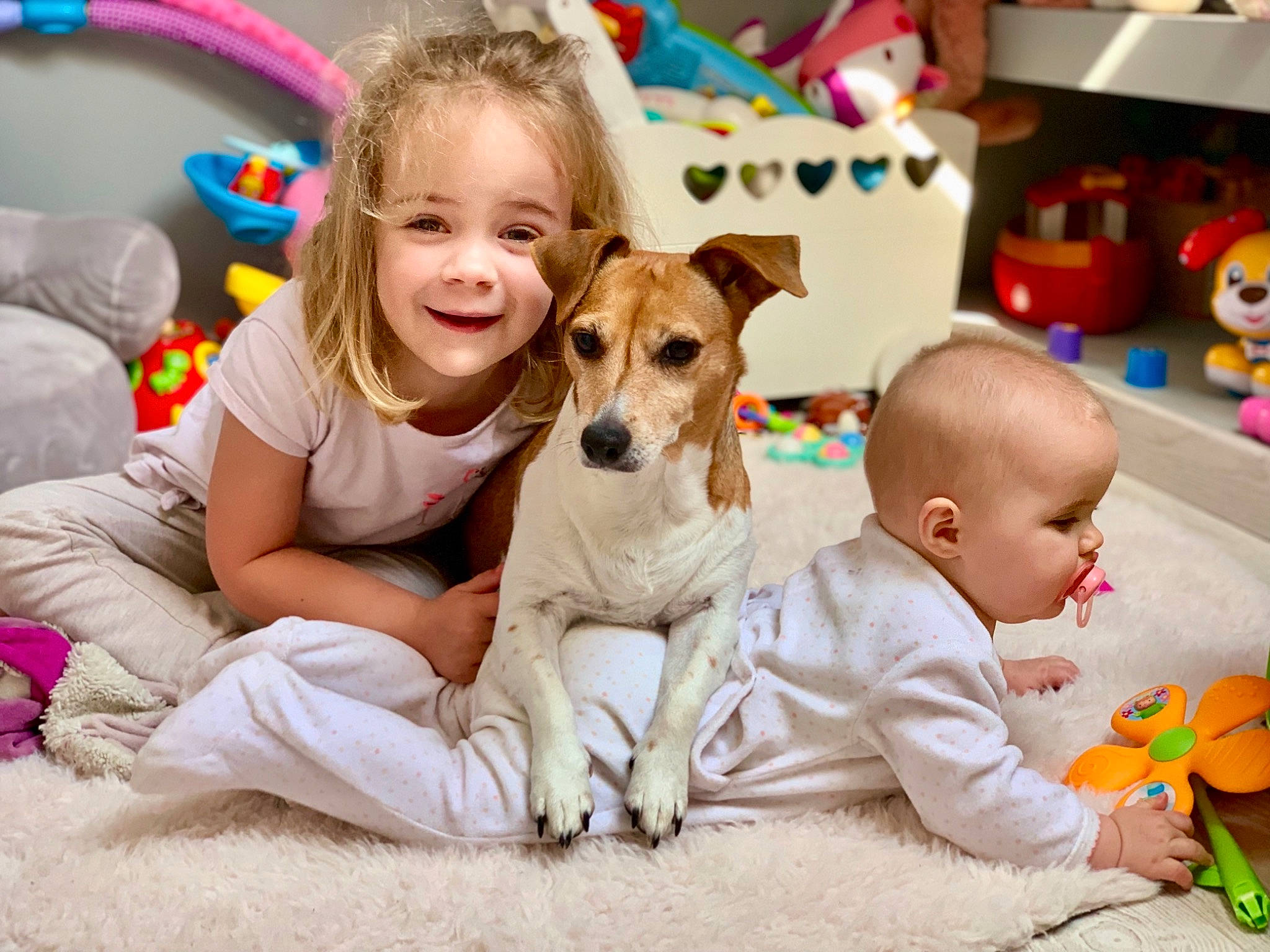 Emmy a rejoint le concours — aidez-le/la à gagner de superbes lots ! canidae, carnivore, child, companion_dog, dog, dog_breed, happy, jack_russell_terrier, parson_russell_terrier, play, puppy_love, rat_terrier, russell_terrier, toddler