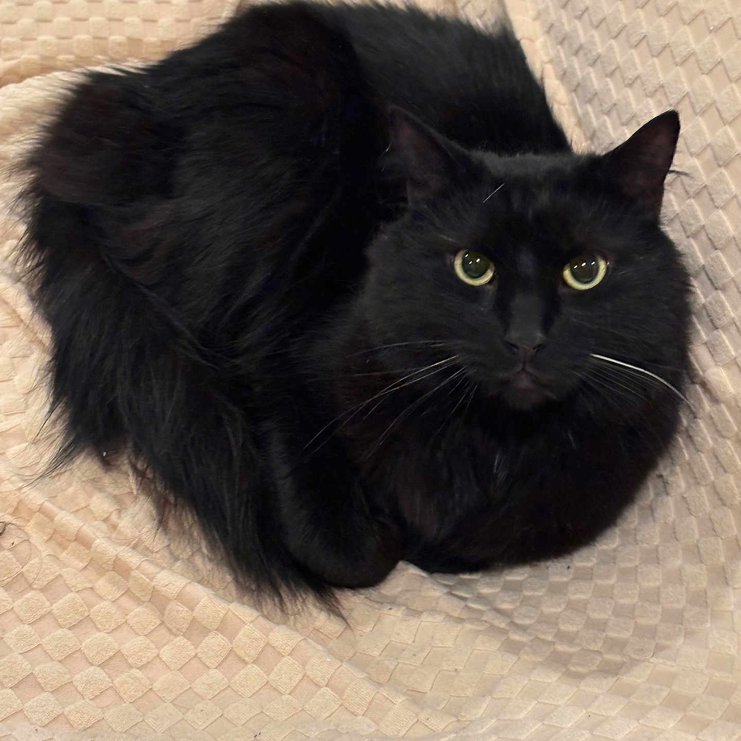 Vader