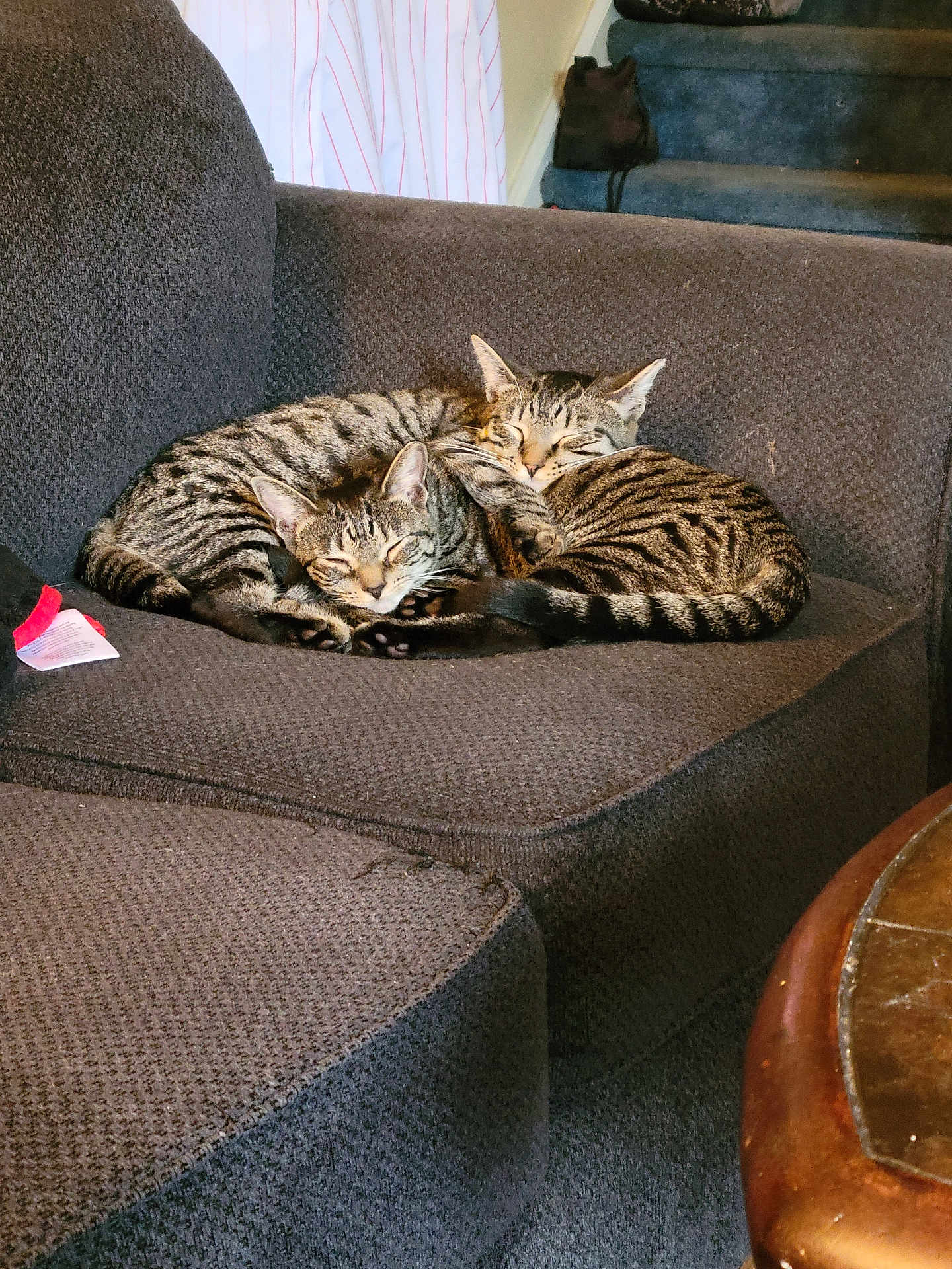 Bonnie And Clyde