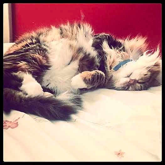 Florbela is registered to the contest to win money with this photo: