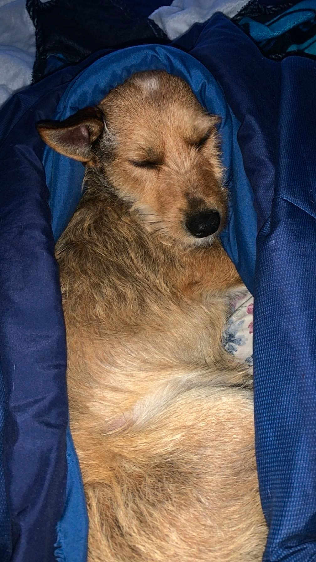Copper