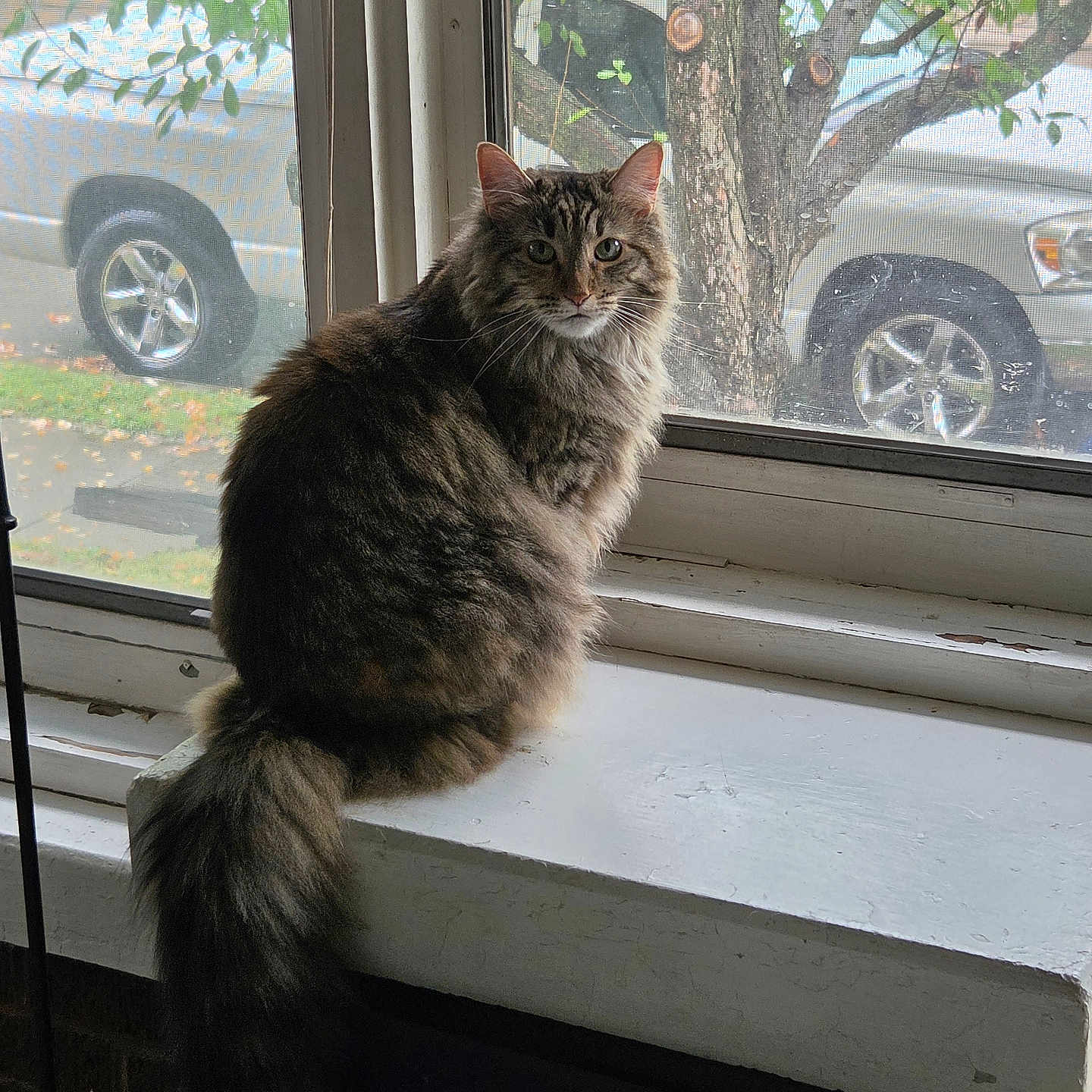 Sophie