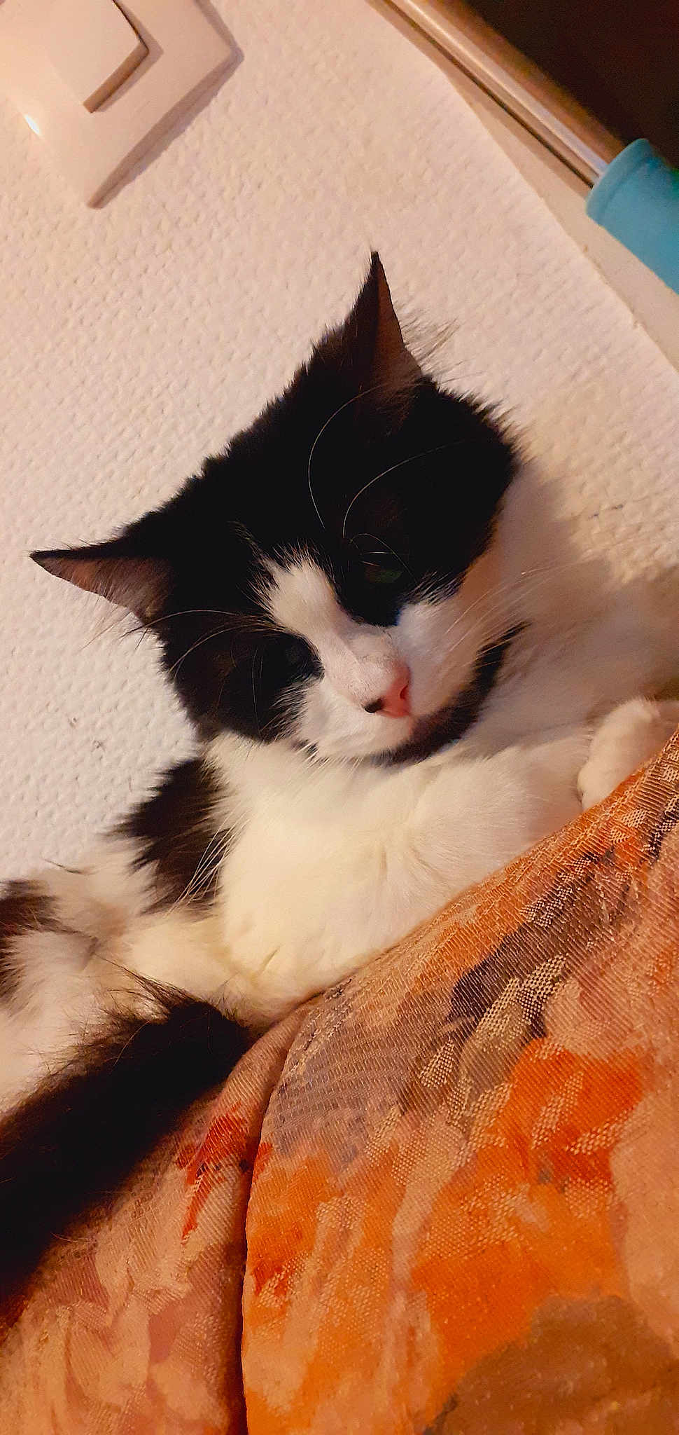 Boubouille