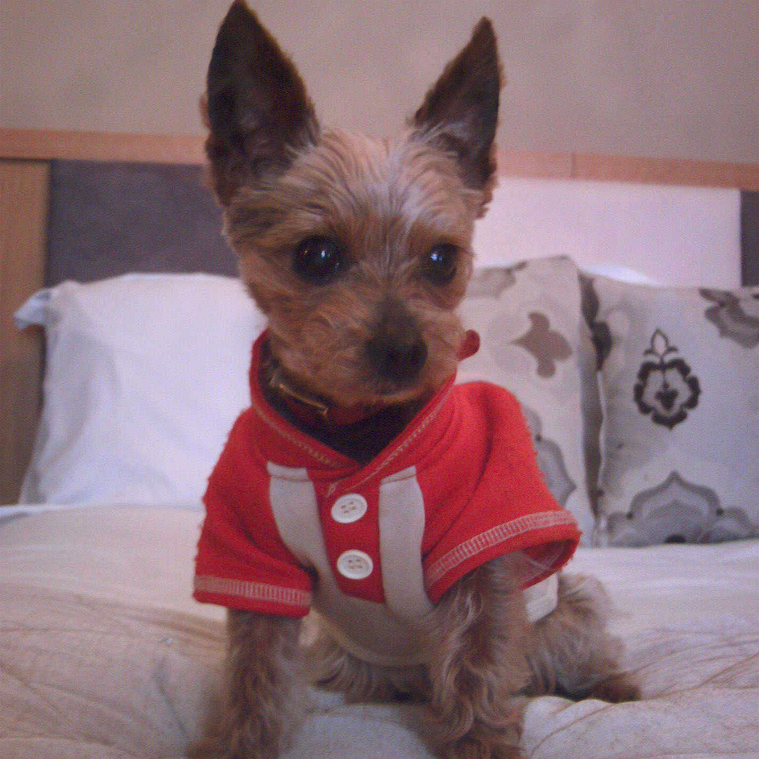 JASON is registered to the contest to win money with this photo: