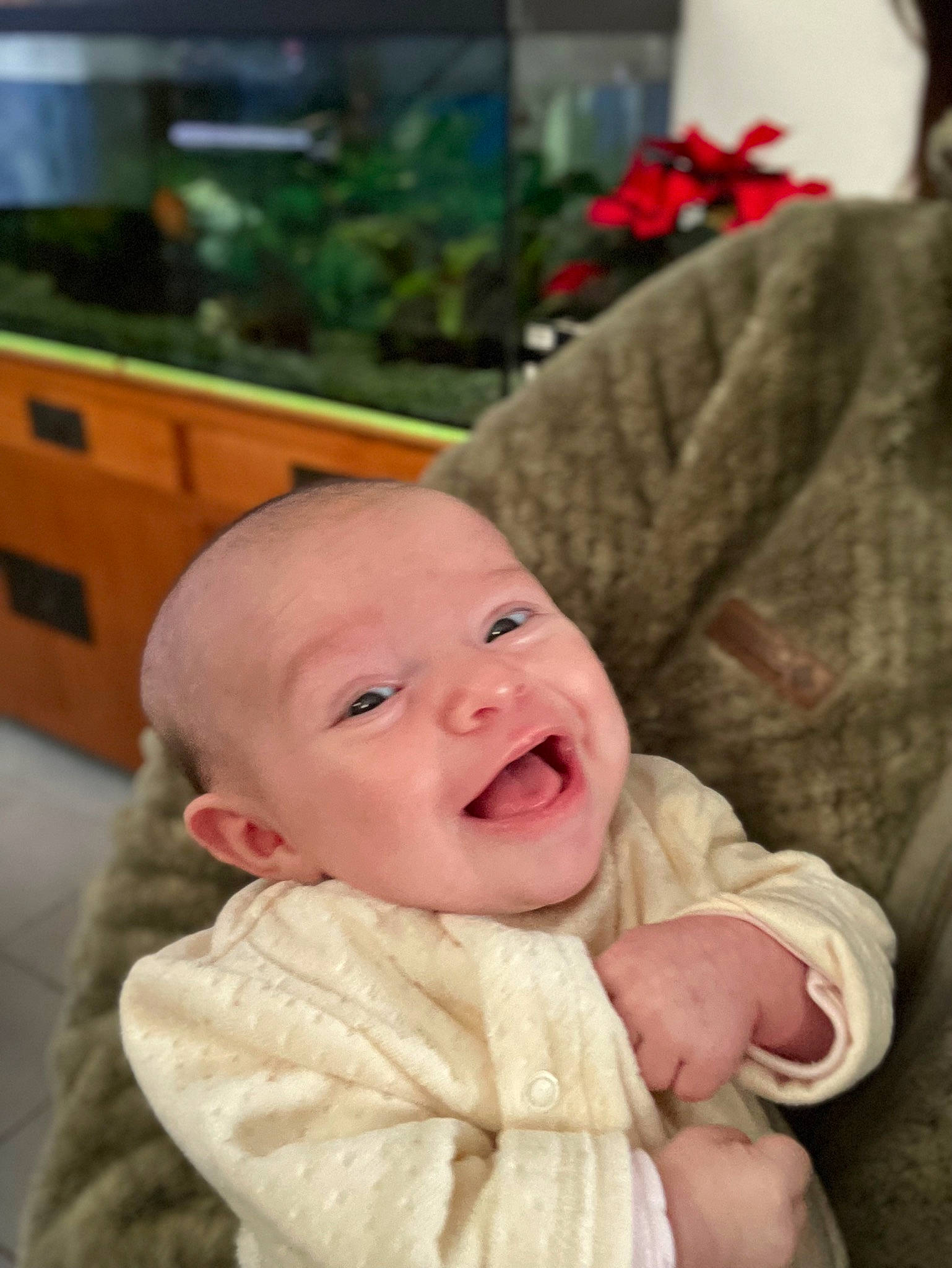 Héléna a rejoint le concours — aidez-le/la à gagner de superbes lots ! baby, baby_toddler_clothing, cabinetry, cheek, child, comfort, event, eye, fun, happy, iris, lap, lip, mouth, person, plant, sitting, skin, smile, toddler