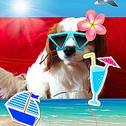 Ileven-yop participe au concours pour gagner de l'argent avec cette photo :