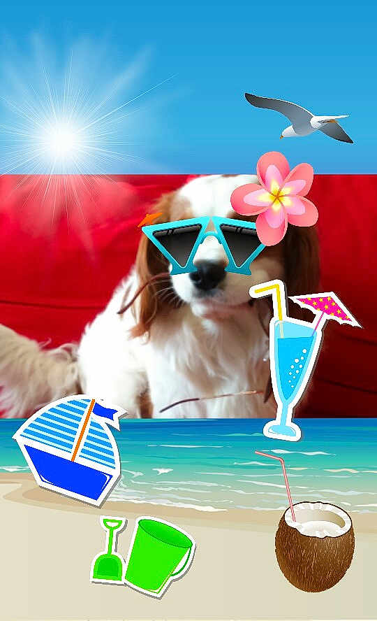 Ileven-yop participe au concours pour gagner de l'argent avec cette photo :