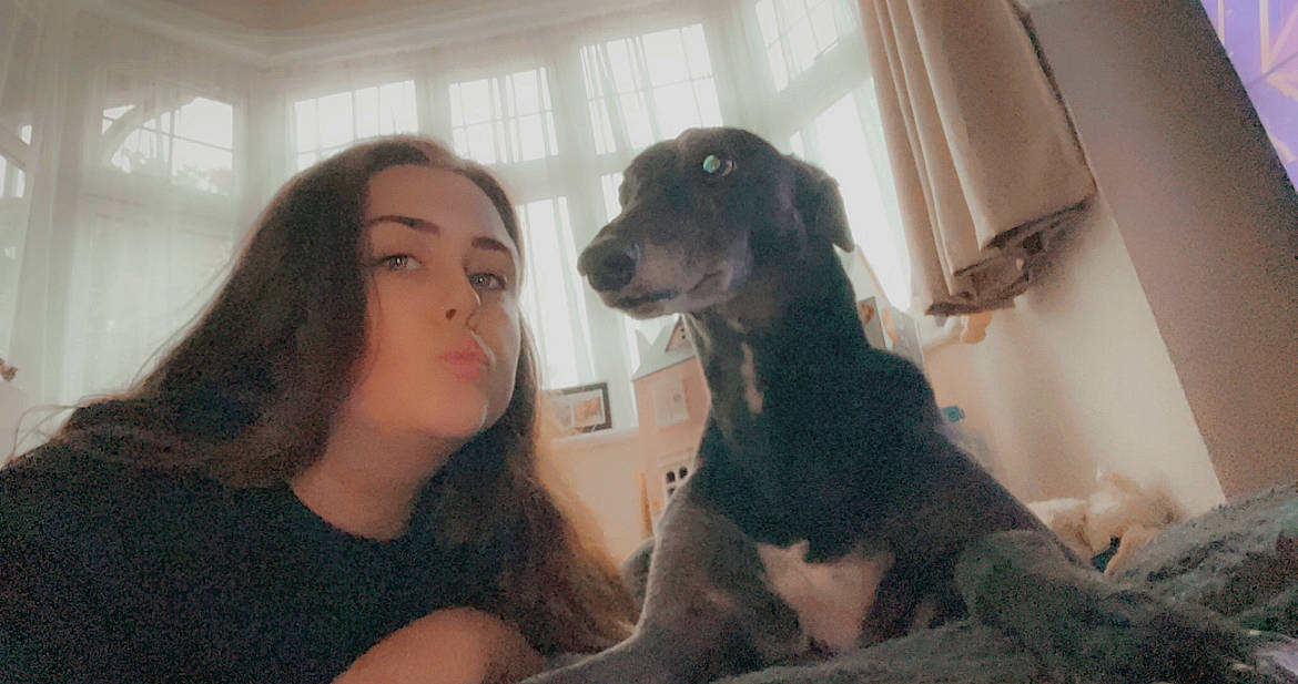 Prince is registered to the contest to win money with this photo: canidae, carnivore, comfort, companion_dog, dog, dog_breed, ear, fun, fur, gesture, guard_dog, sitting, sporting_group, whiskers, window, working_animal, working_dog