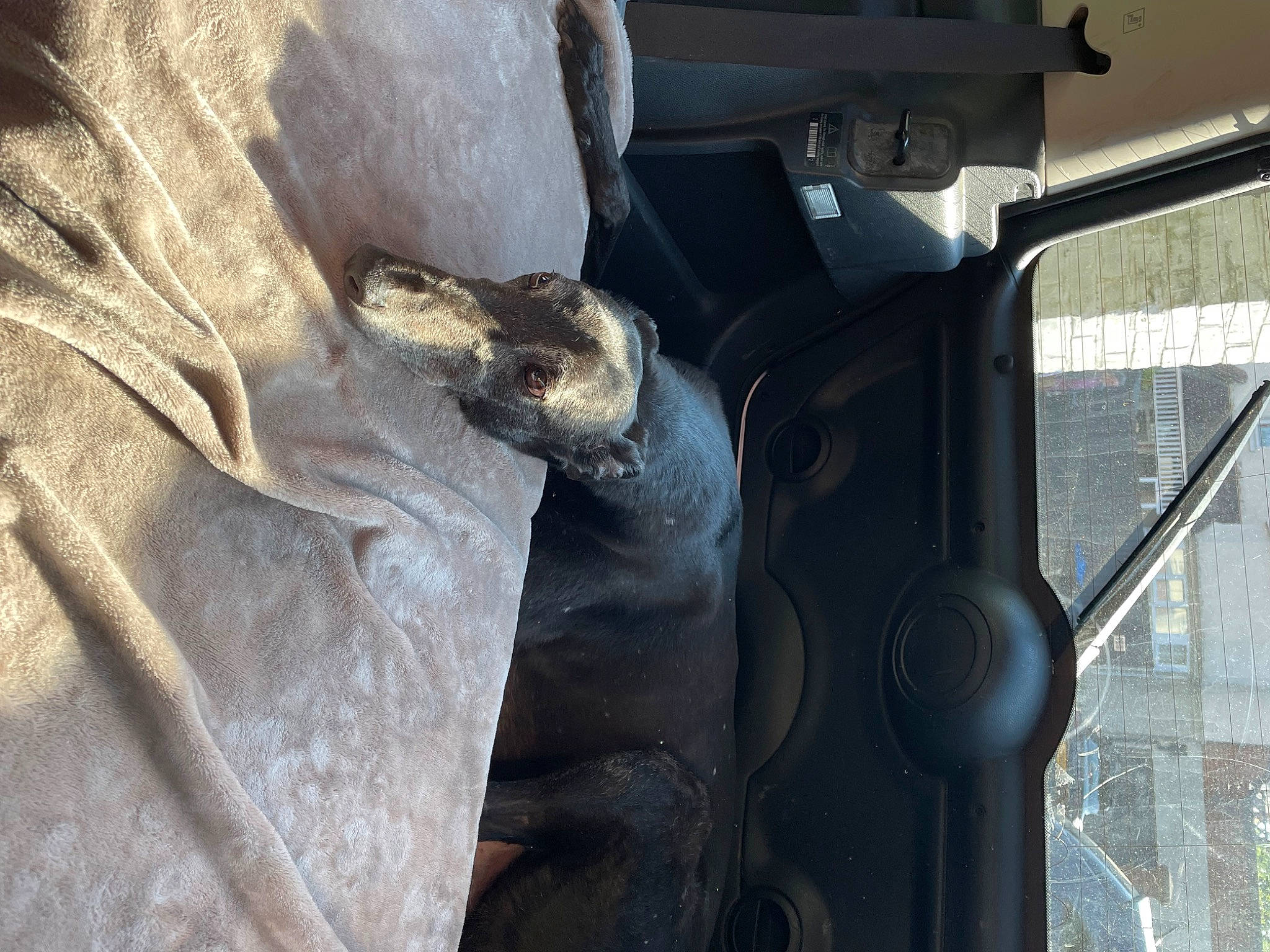 Prince is registered to the contest to win money with this photo: art, auto_part, automotive_exterior, automotive_tire, automotive_wheel_system, bumper, concrete, engineering, gas, machine, metal, motor_vehicle, rim, sculpture, statue, synthetic_rubber, tire_care, tread, vehicle_door, wood