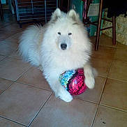 Charly participe au concours pour gagner de l'argent avec cette photo :
