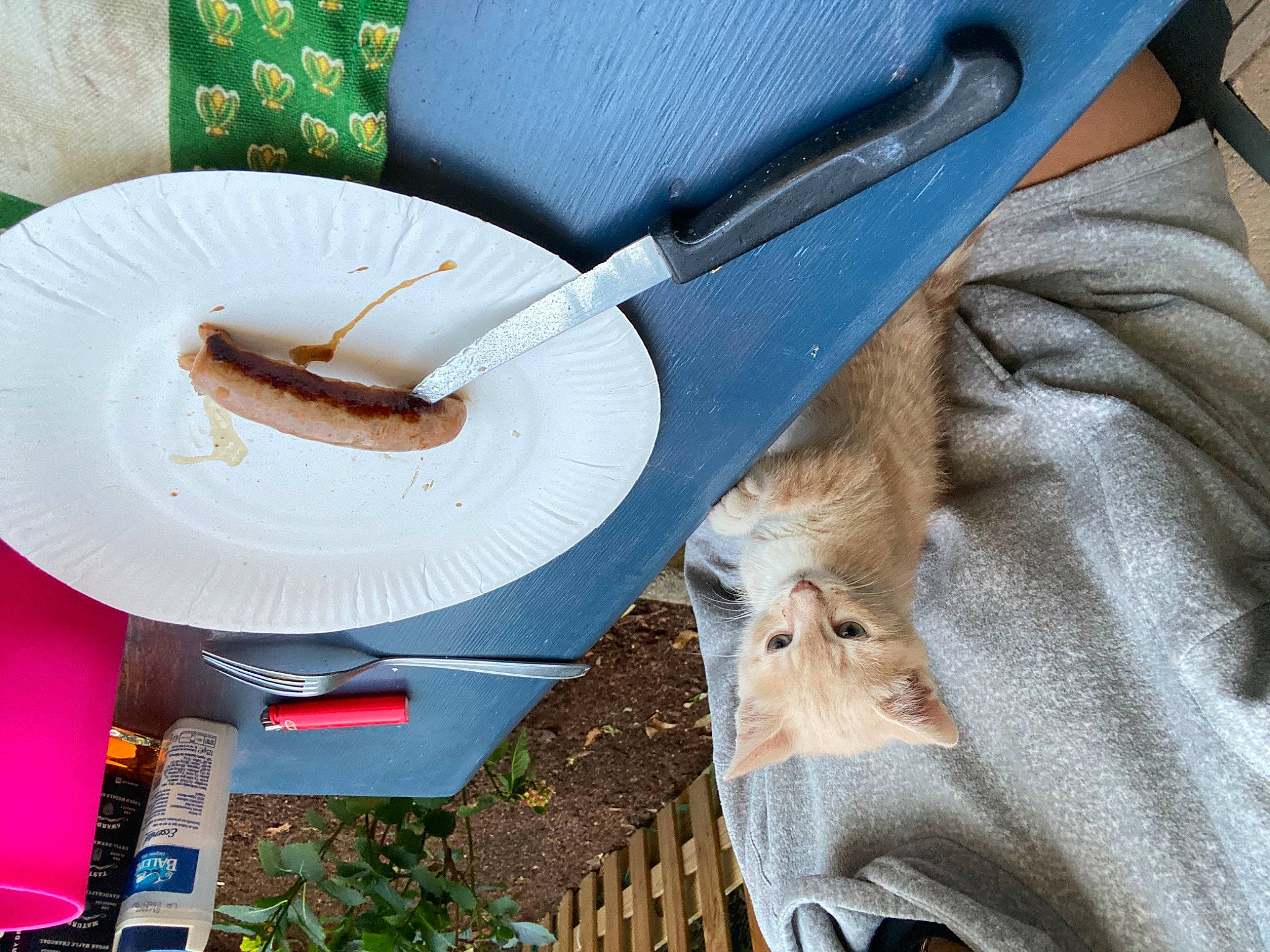 Ely participe au concours pour gagner de l'argent avec cette photo : comfort_food, cuisine, dish, food