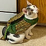 cat, costume, dragon, pet, indoor, floor, curious, white, black, green, gold, animal, feline, sitting, looking_up, kitchen, tile_floor, wood_cabinet, whiskers, ears