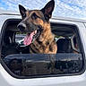Charley is registered to the contest to win money with this photo: dog, german_shepherd, car, window, tongue_out, ears_up, outdoor, sky, clouds, reflection, person_reflection, vehicle_interior, seat, daytime, pet, animal, happy, canine, transportation, closeup