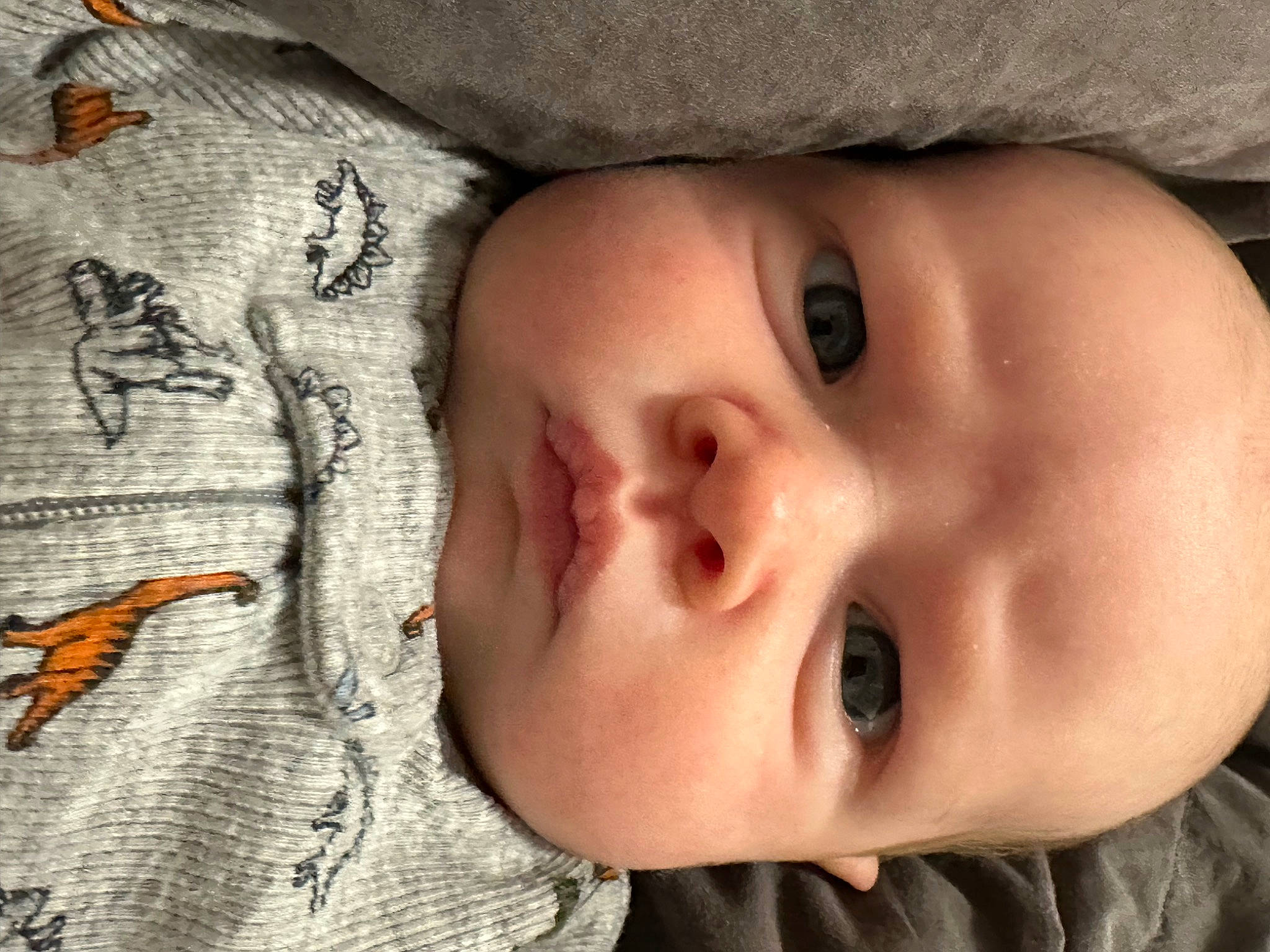 Poppy joined the competition — help win amazing prizes! baby, cheek, chin, eye, eyebrow, eyelash, facial_expression, forehead, hand, human_body, iris, leaf, lip, mammal, mouth, nose, organ, person, product, skin