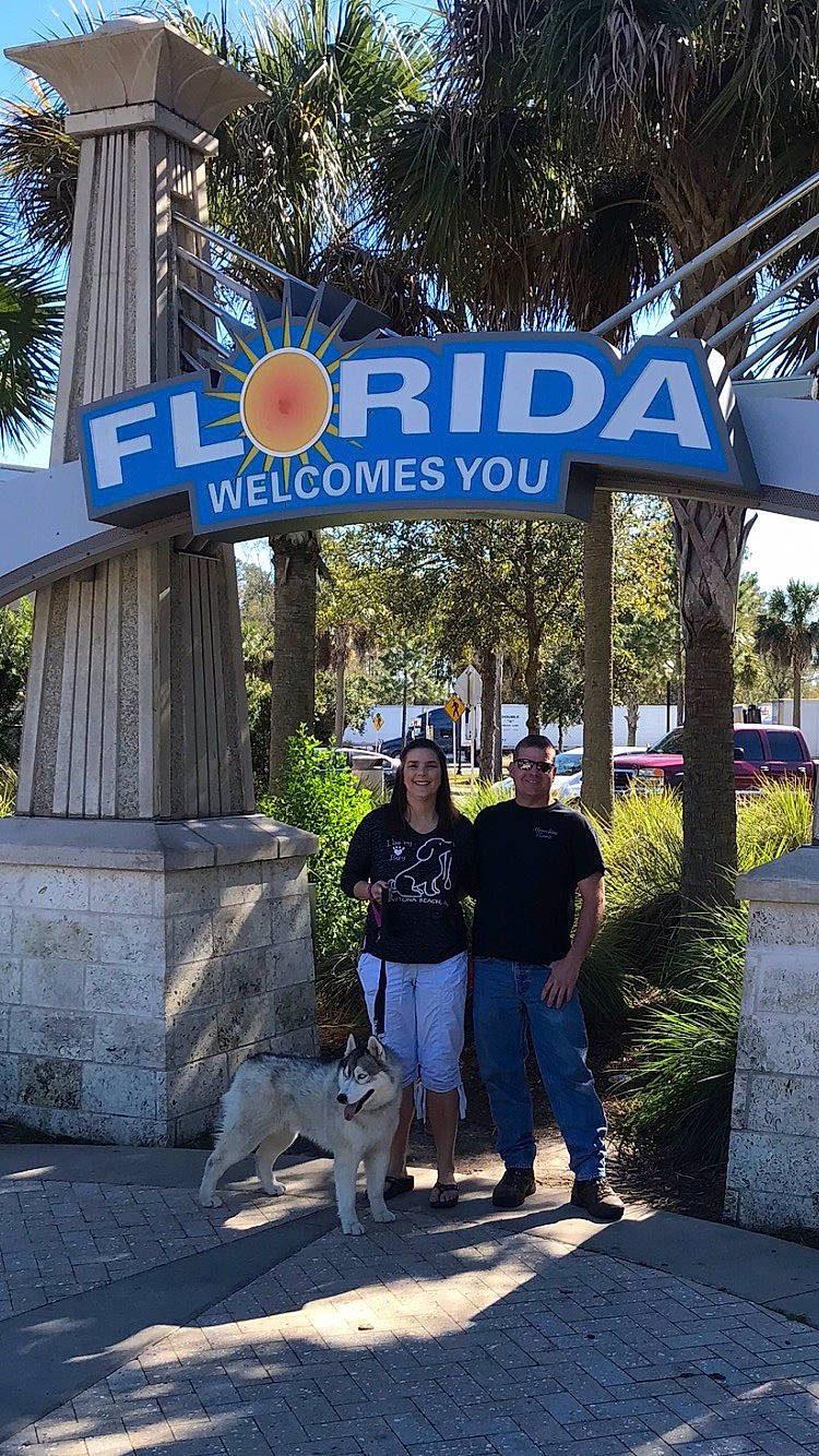 Shakita joined the competition — help win amazing prizes! carnivore, city, companion_dog, dog, dog_breed, fawn, font, infrastructure, leisure, mammal, pedestrian, plant, public_space, recreation, road, road_surface, sidewalk, signage, street, tree