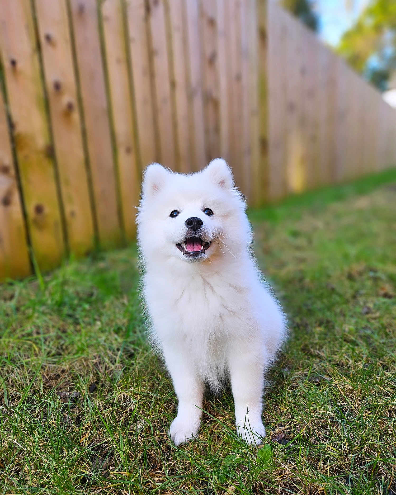 Casper
