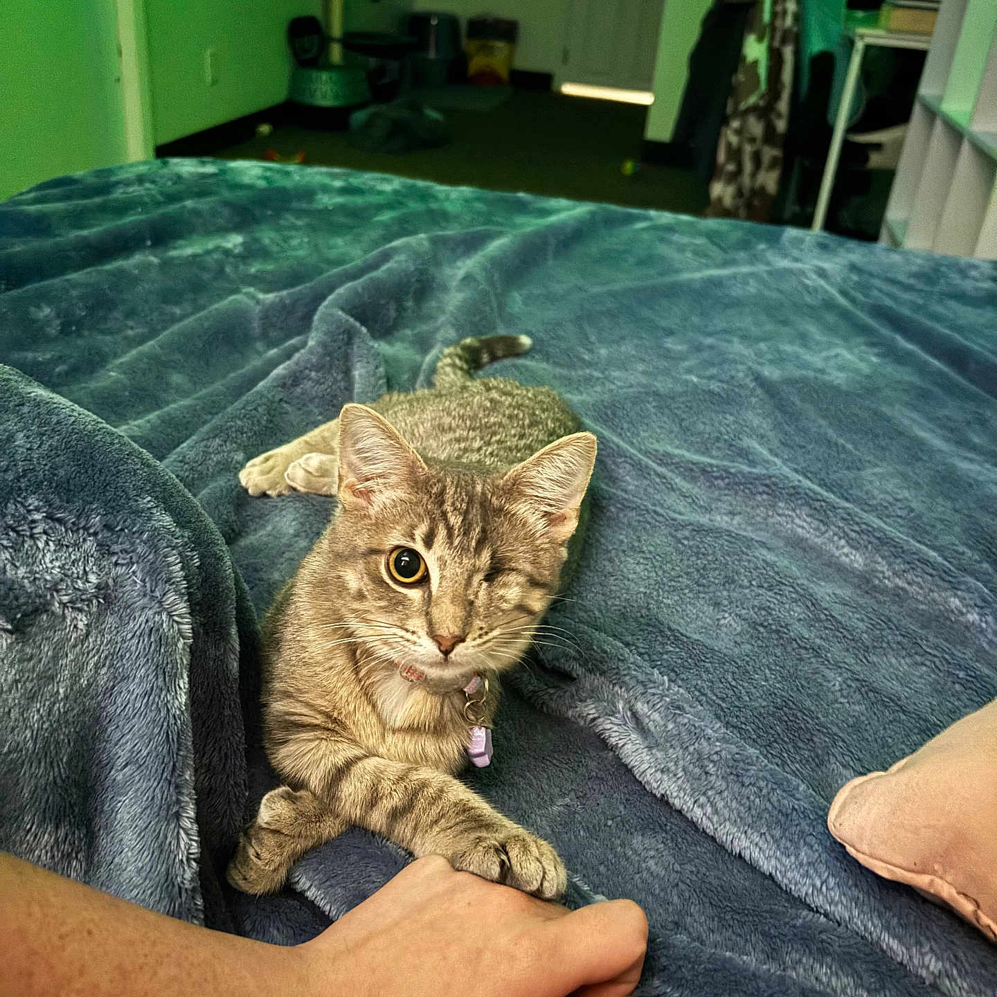 Maizie
