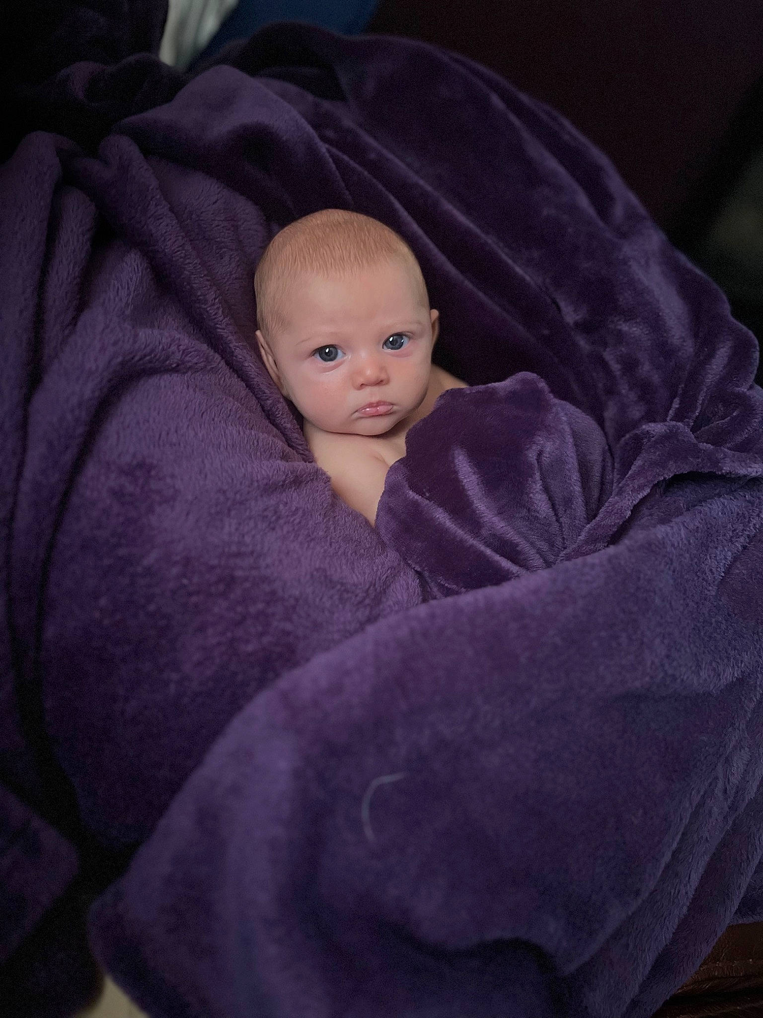Ember joined the competition — help win amazing prizes! baby, baby_products, baby_toddler_clothing, cheek, child, comfort, darkness, eye, fur, grey, knitting, linens, magenta, person, purple, sitting, sleeve, textile, toddler, violet
