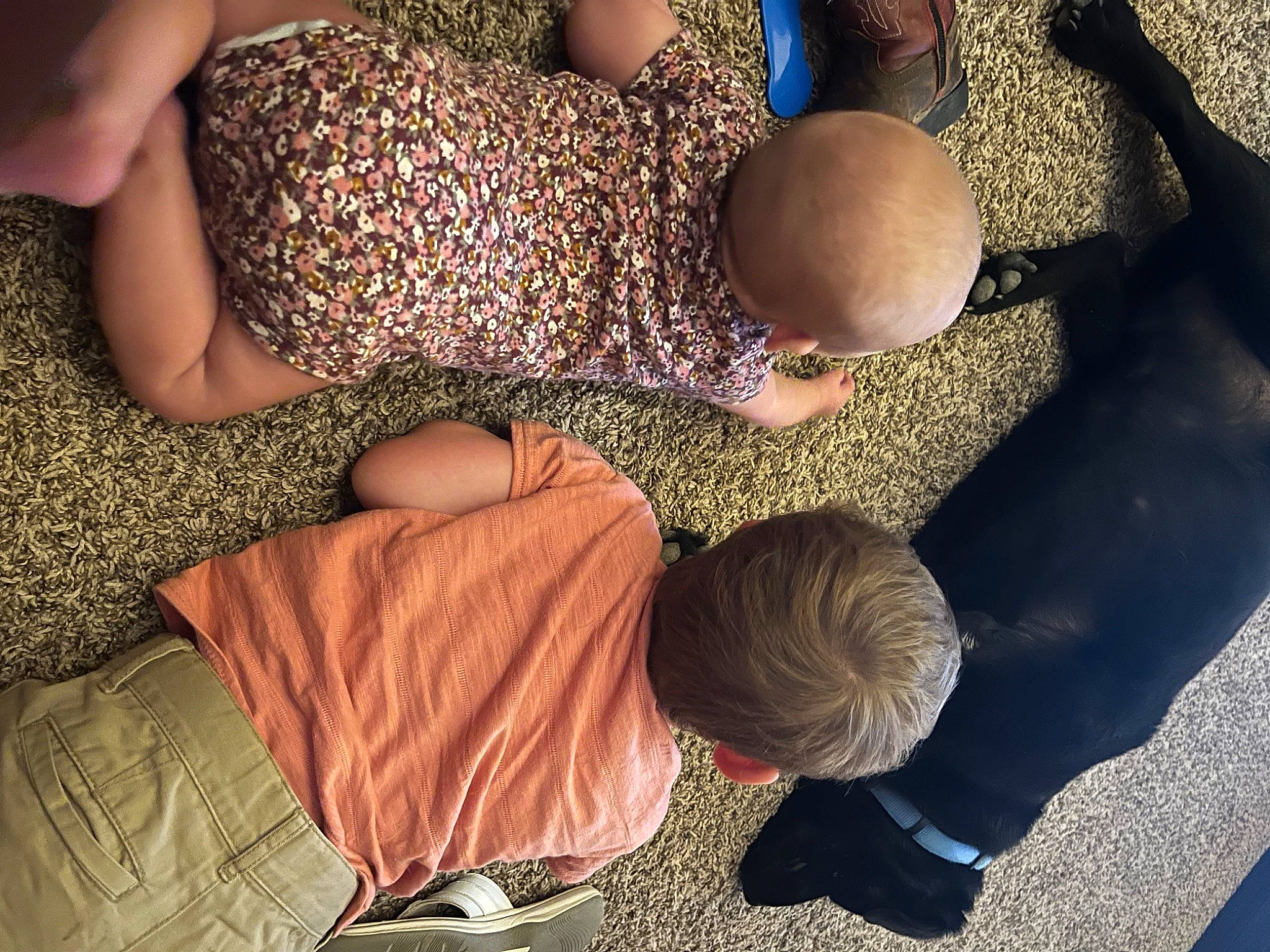 Ember joined the competition — help win amazing prizes! comfort, dress, flooring, foot, fun, happy, human_body, human_leg, joint, leg, leisure, pattern, people_in_nature, person, shoe, sitting, thigh, toddler, tree, trunk