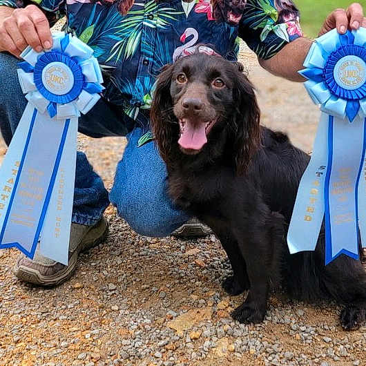 Ellie Mae
