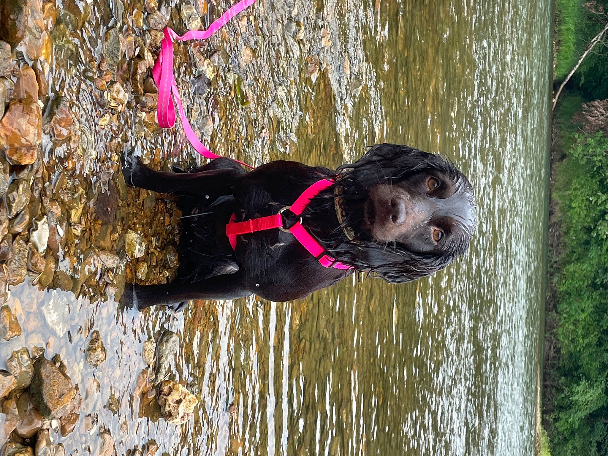 Ellie Mae is registered to the contest to win money with this photo: adventure, fun, grass, lake, leisure, people_in_nature, personal_protective_equipment, plant, recreation, reflection, smile, soil, sporting_group, tire, tree, vertebrate, water, winter