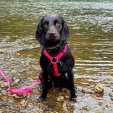 Ellie