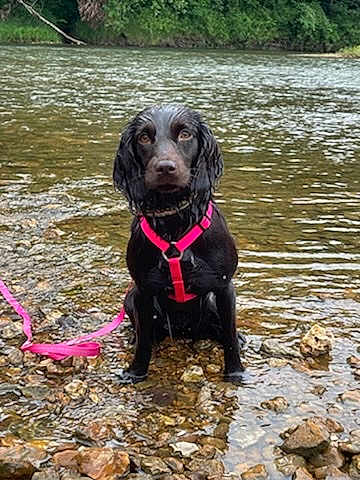 Ellie