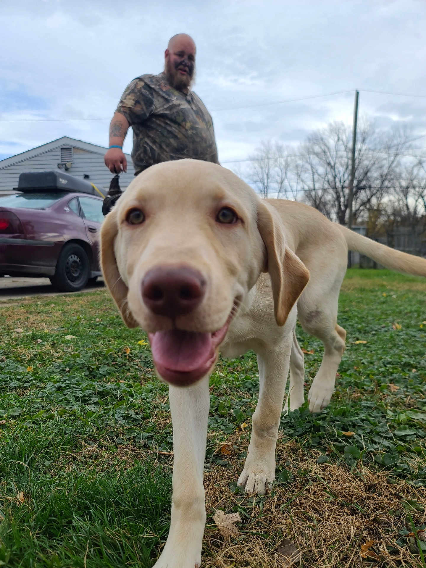 Apollo is registered to the contest to win money with this photo: dog, puppy, labrador, grass, man, outdoor, smiling, animal, pet, yard, car, cloudy_sky, person, happy, canine, walking, nature, tattoo, camouflage_clothing, leash