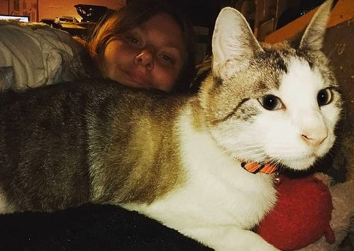 Caleb is registered to the contest to win money with this photo: carnivore, cat, comfort, couch, domestic_short_haired_cat, felidae, fur, paw, small_to_medium_sized_cats, snout, whiskers, window