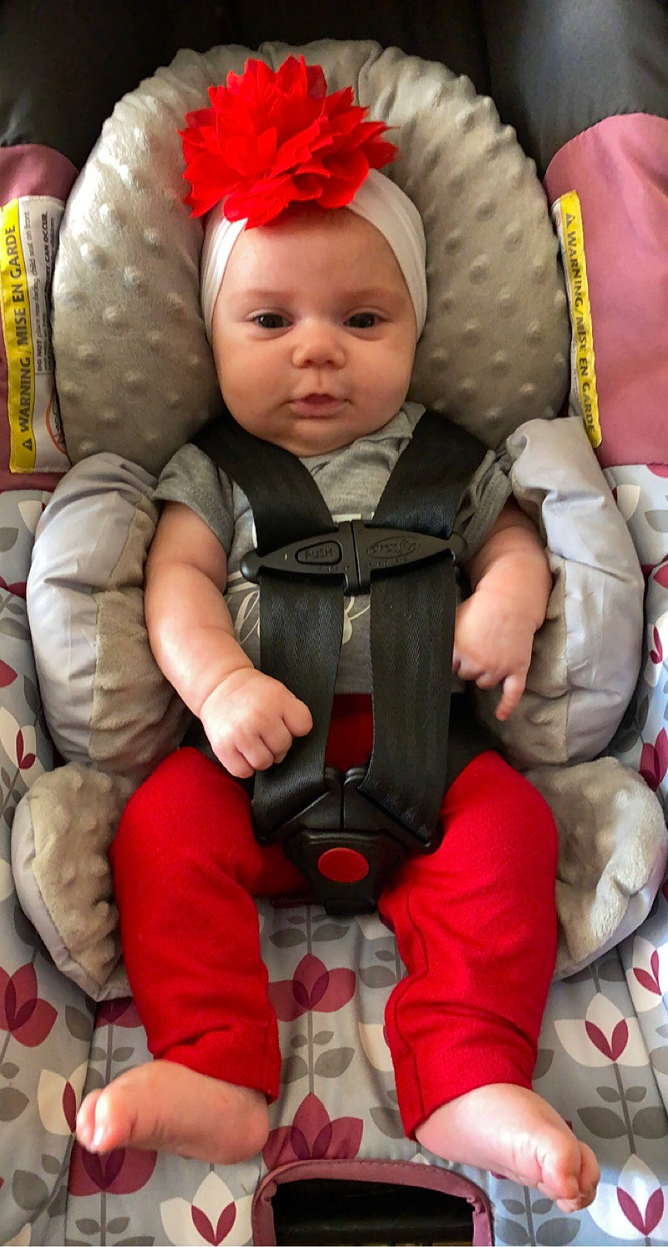 Maelynn joined the competition — help win amazing prizes! baby, baby_carriage, baby_products, baby_safety, baby_toddler_clothing, cap, cheek, child, comfort, face, headwear, outerwear, person, photograph, pink, red, seat_belt, skin, sleeve, smile