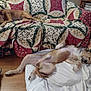 dog, couch, blanket, quilt, floor, indoor, relaxing, sleeping, pet, animal, cozy, furniture, brown_dog, floral, pillow, wooden_floor, resting, home, domestic, laid_back