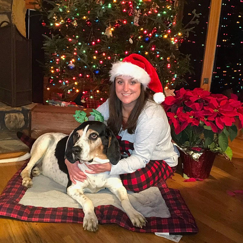 Ecco joined the competition — help win amazing prizes! carnivore, christmas, christmas_decoration, christmas_eve, christmas_ornament, companion_dog, dog, dog_breed, event, flowerpot, fur, holiday, holiday_ornament, human, interior_design, lighting, plaid, sporting_group, tartan, winter