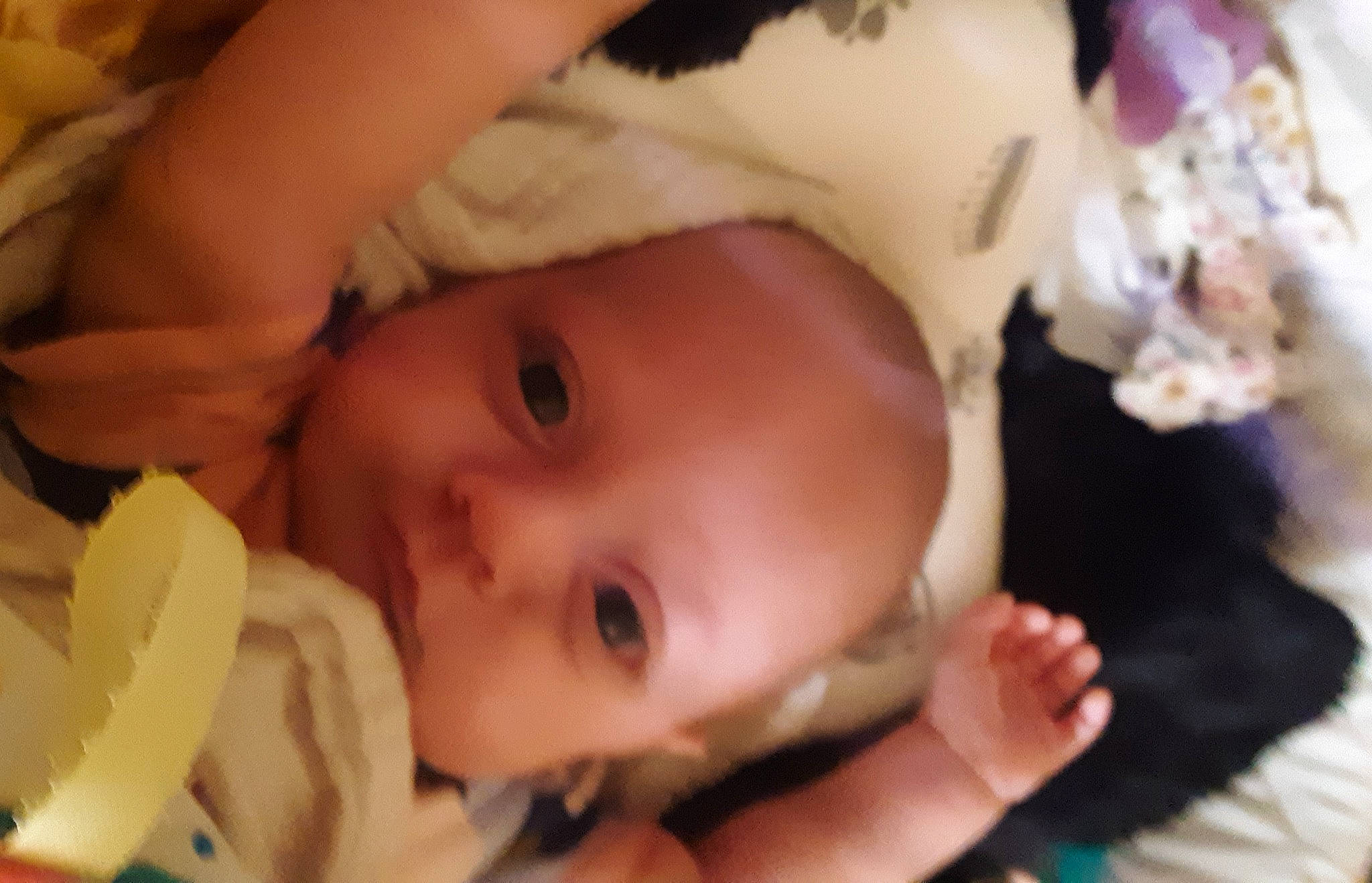 Della joined the competition — help win amazing prizes! cheek, dress, ear, eye, eyebrow, eyelash, face, gesture, happy, head, human_body, iris, lip, mouth, nose, person, photograph, plant, skin, smile